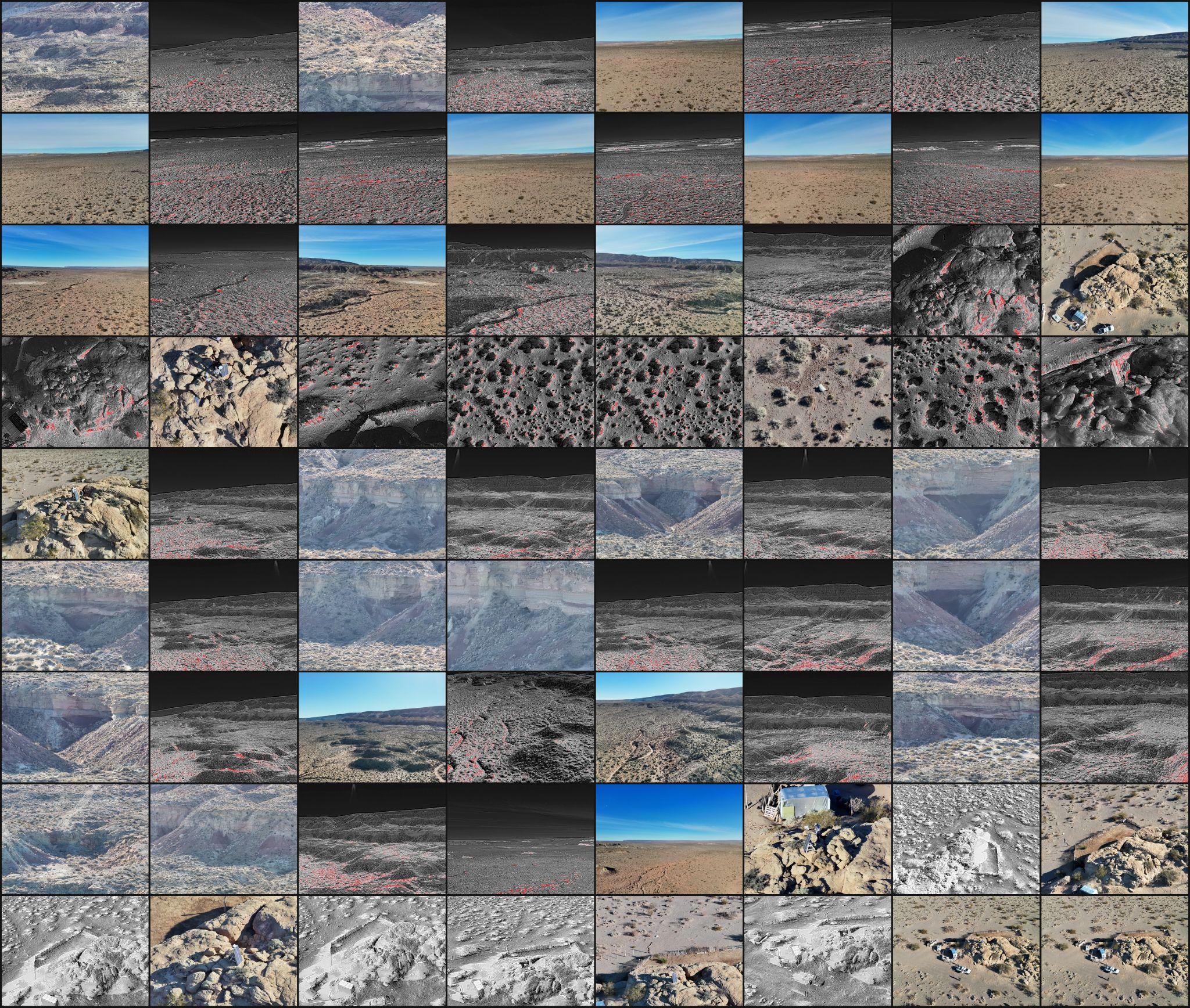 Imagen 5: Mosaico de imagen provista por Drone.