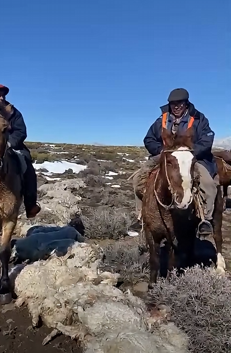 Inspección a caballo del ganado caprino afectado en Zapala. 17 de agosto de 2026.